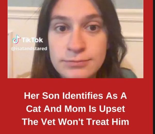 Her Son Identifies As A Cat And Mom Is Upset The Vet Won’t Treat Him… Read full story below… You will be shocked 👇 😱