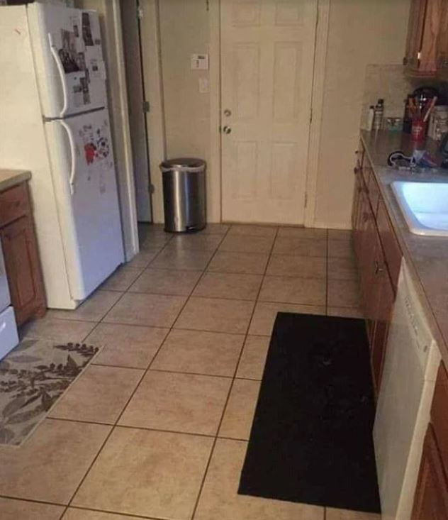 There Is A Dog Hiding In This Photo, But So Far Only The Owner Can Spot Him. See it below!!