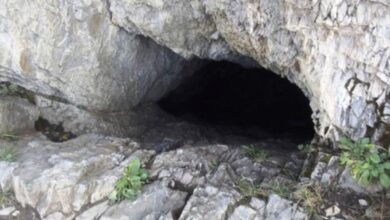 For 25 years, a man has been living alone in a cave with his dog. Take a look inside the cave now!