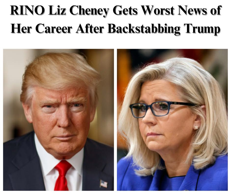 New Poll Shows Liz Cheney Damaged Harris Campaign In Key Swing States