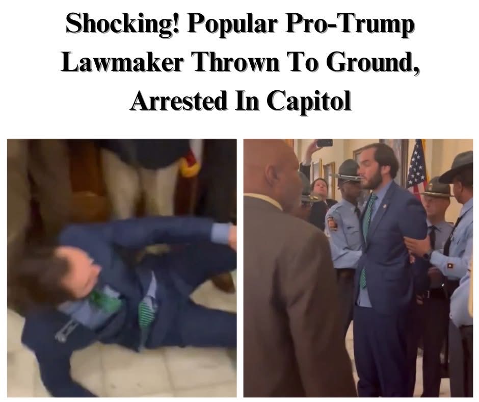 Video Shows GOP Senator Shoved To Ground Arrested, Trying To Enter Georgia Capitol